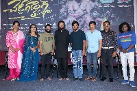 Cheddi Gang Movie Teaser Launch Gallery